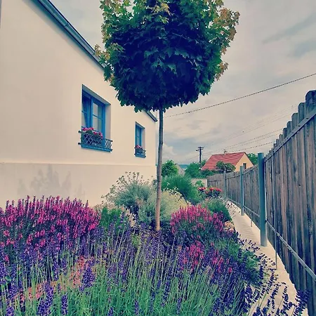 Sousedi Bed & Breakfast