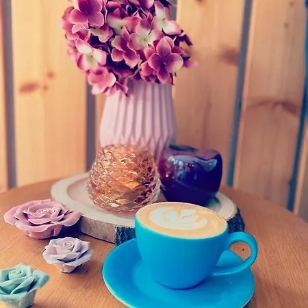 Sousedi Oda ve Kahvaltı Pavlov