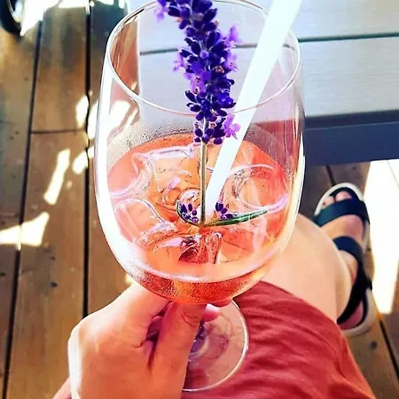 Sousedi Oda ve Kahvaltı