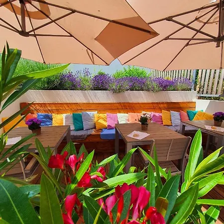 Sousedi Bed & Breakfast Pavlov